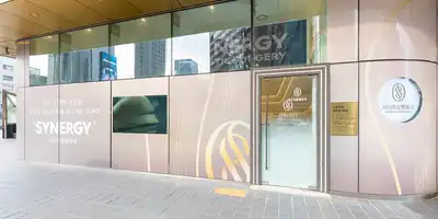 Synergy Plastic Surgery Clinic 병원 정보 이미지