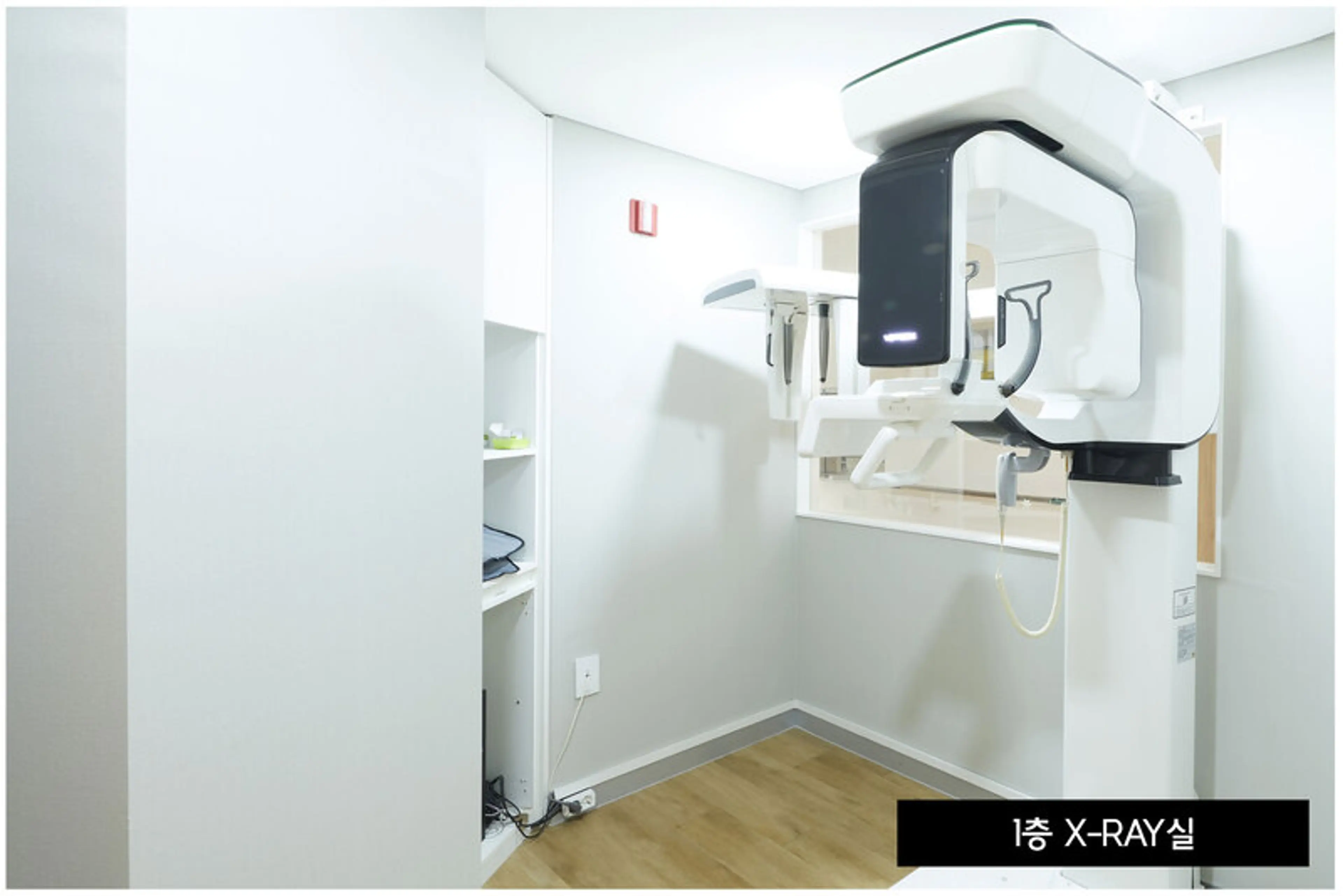 라이브치과병원 - 25