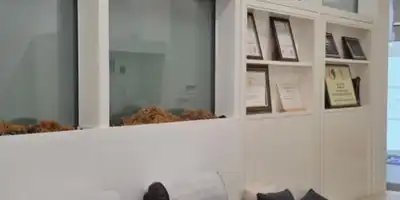 Soon Plus Plastic Surgery Clinic 병원 정보 이미지