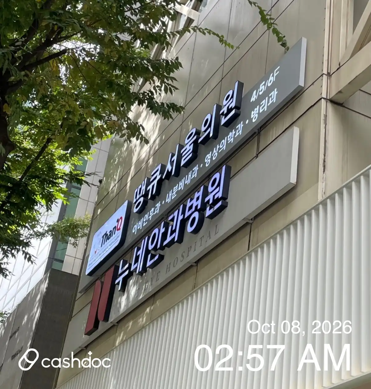 땡큐서울의원 5