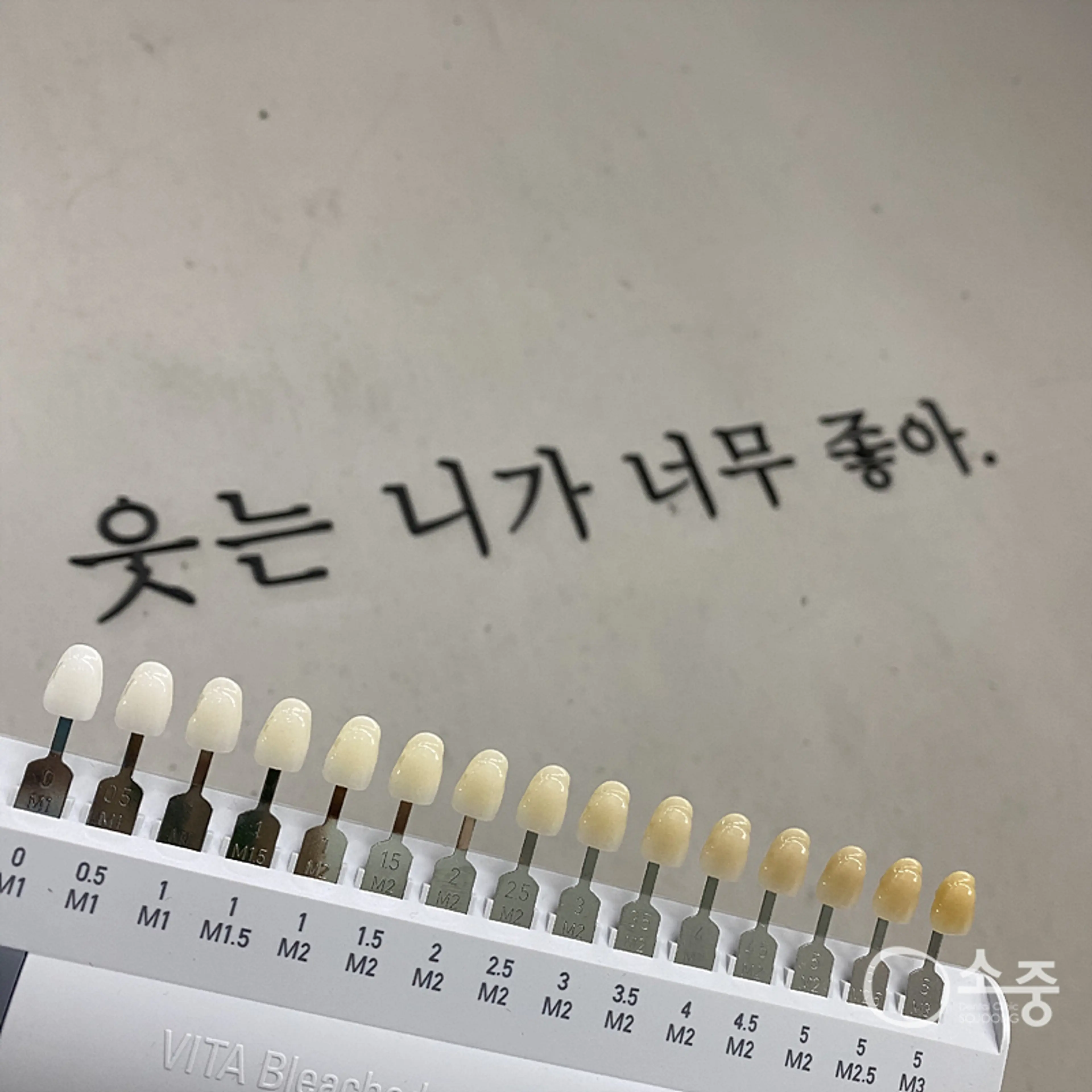 소중치과의원 - 8