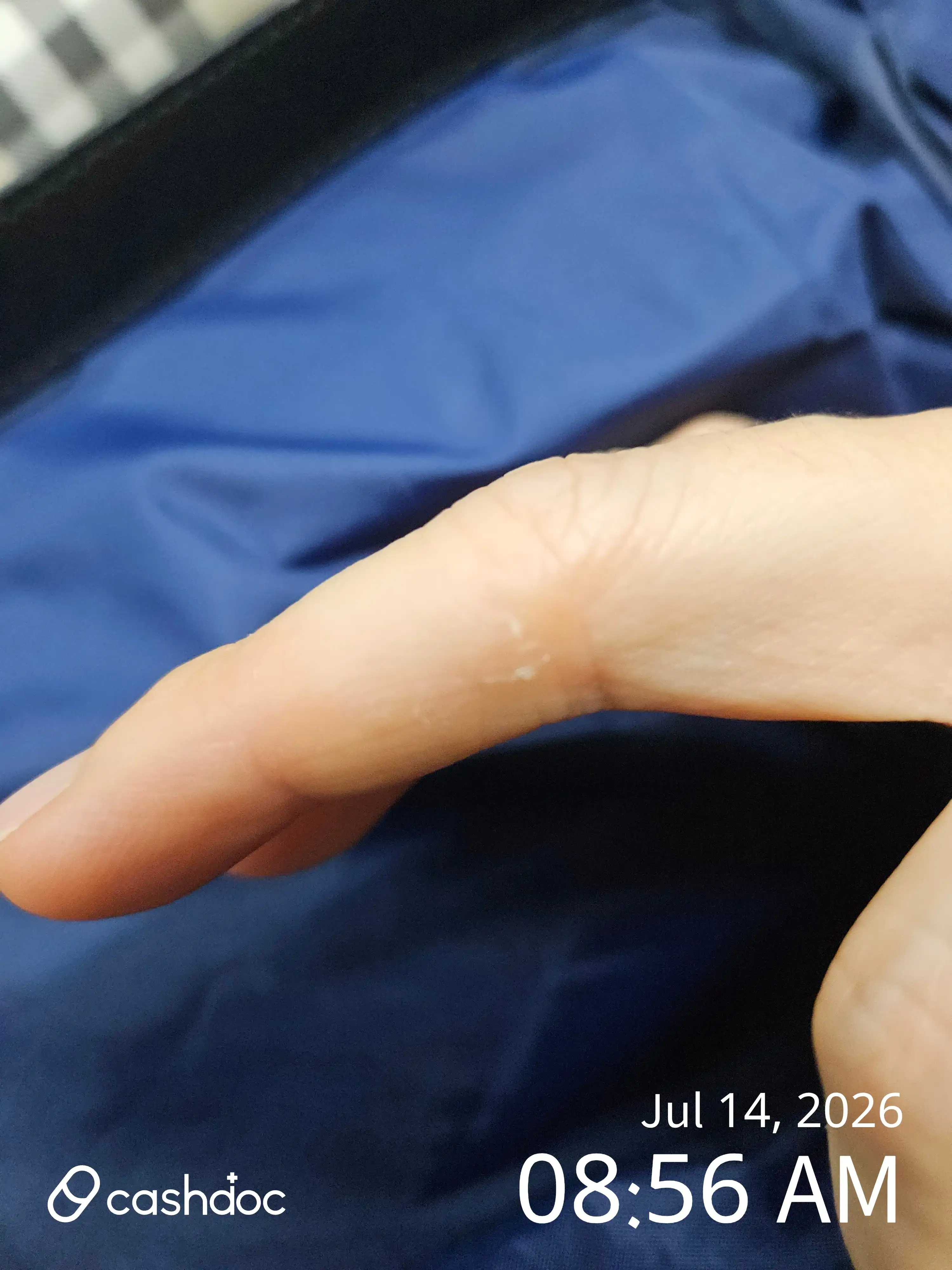 리뷰 사진