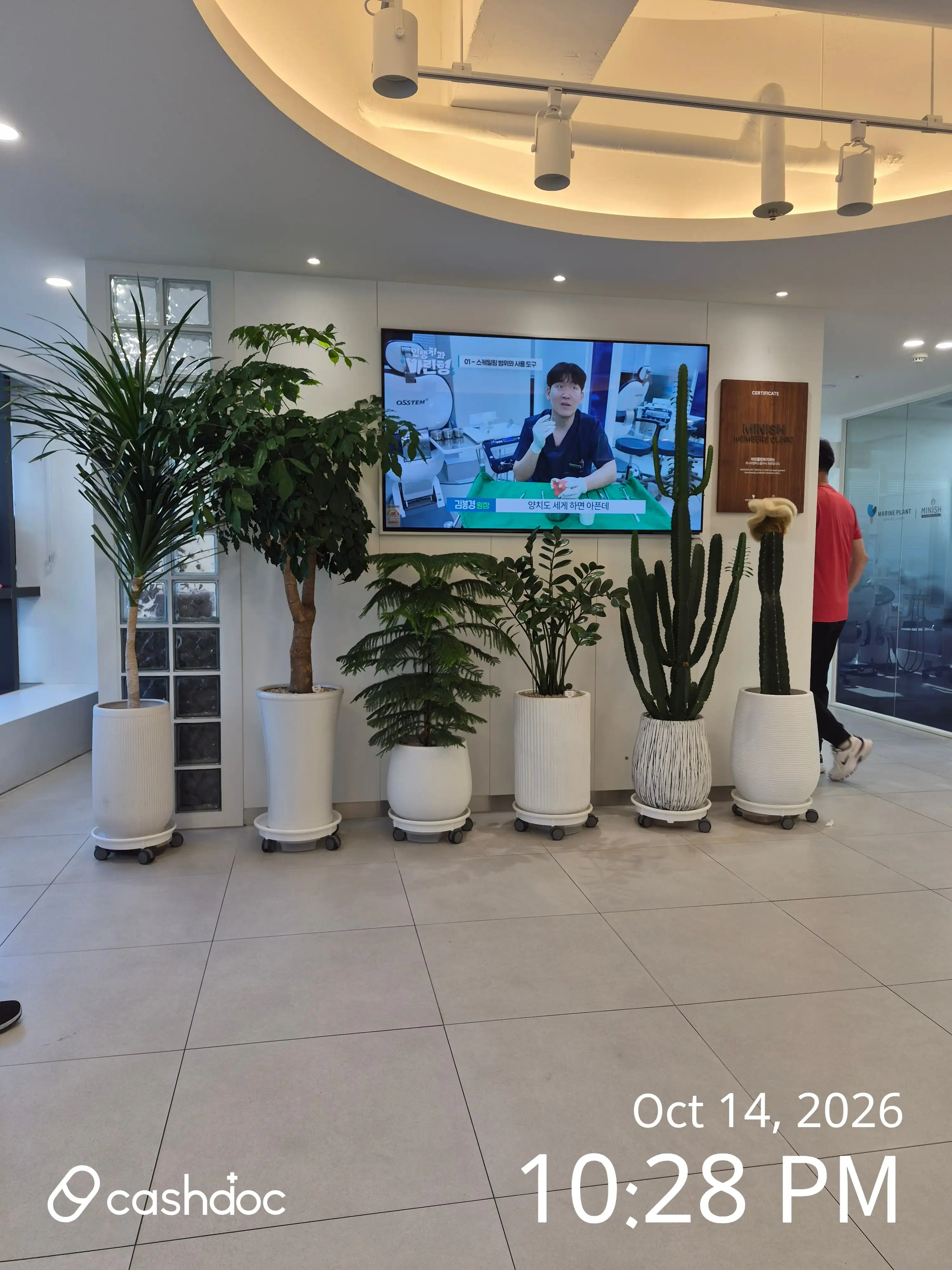 Marine Plant Dental Clinic 1
