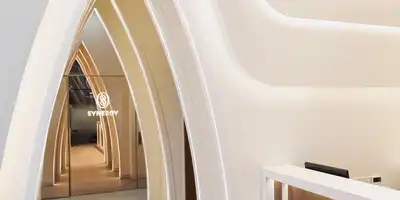 Synergy Plastic Surgery Clinic 병원 정보 이미지