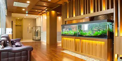 Sky Eye Clinic 병원 정보 이미지