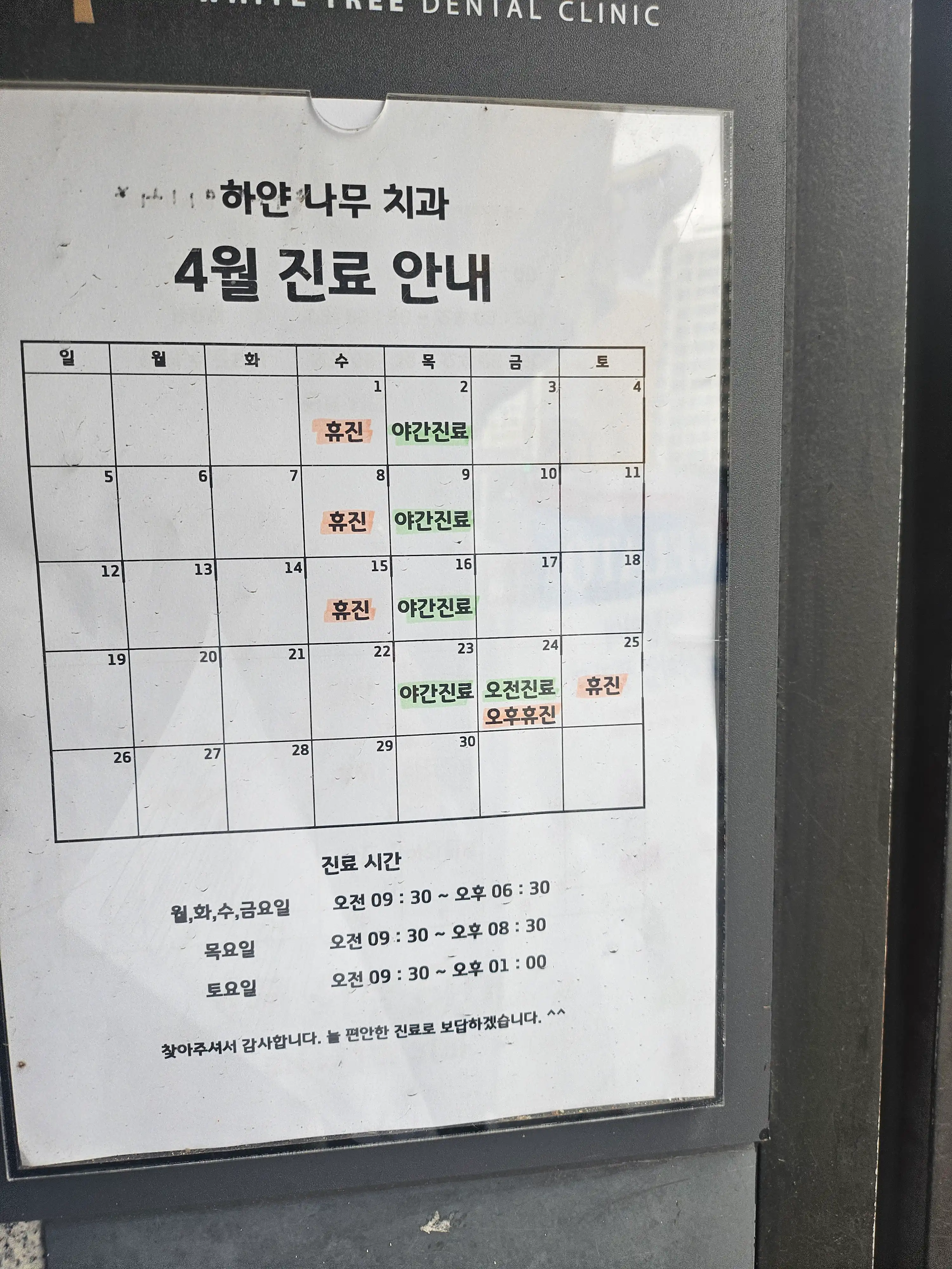 White Tree Dental Clinic 3