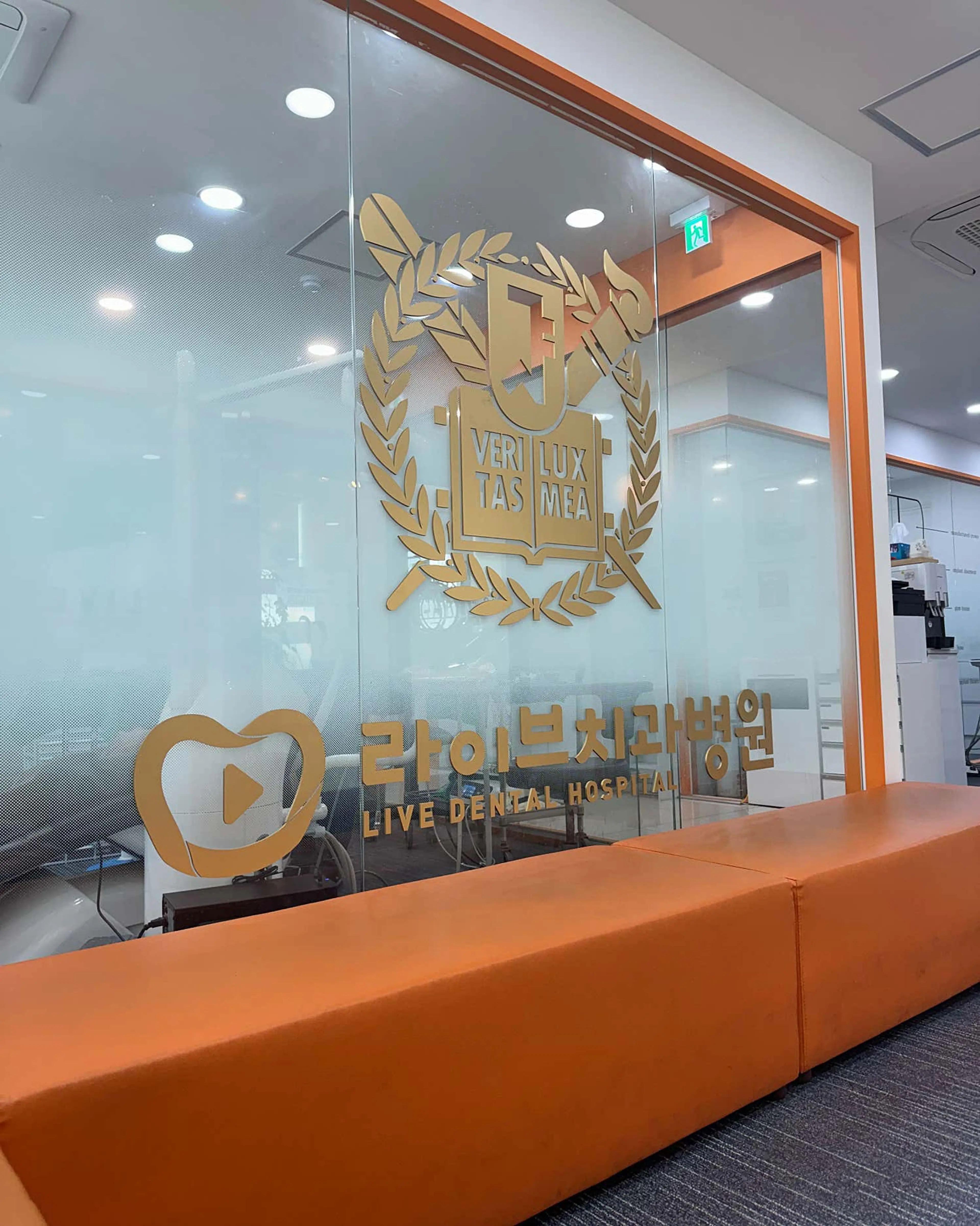 라이브치과병원 - 43