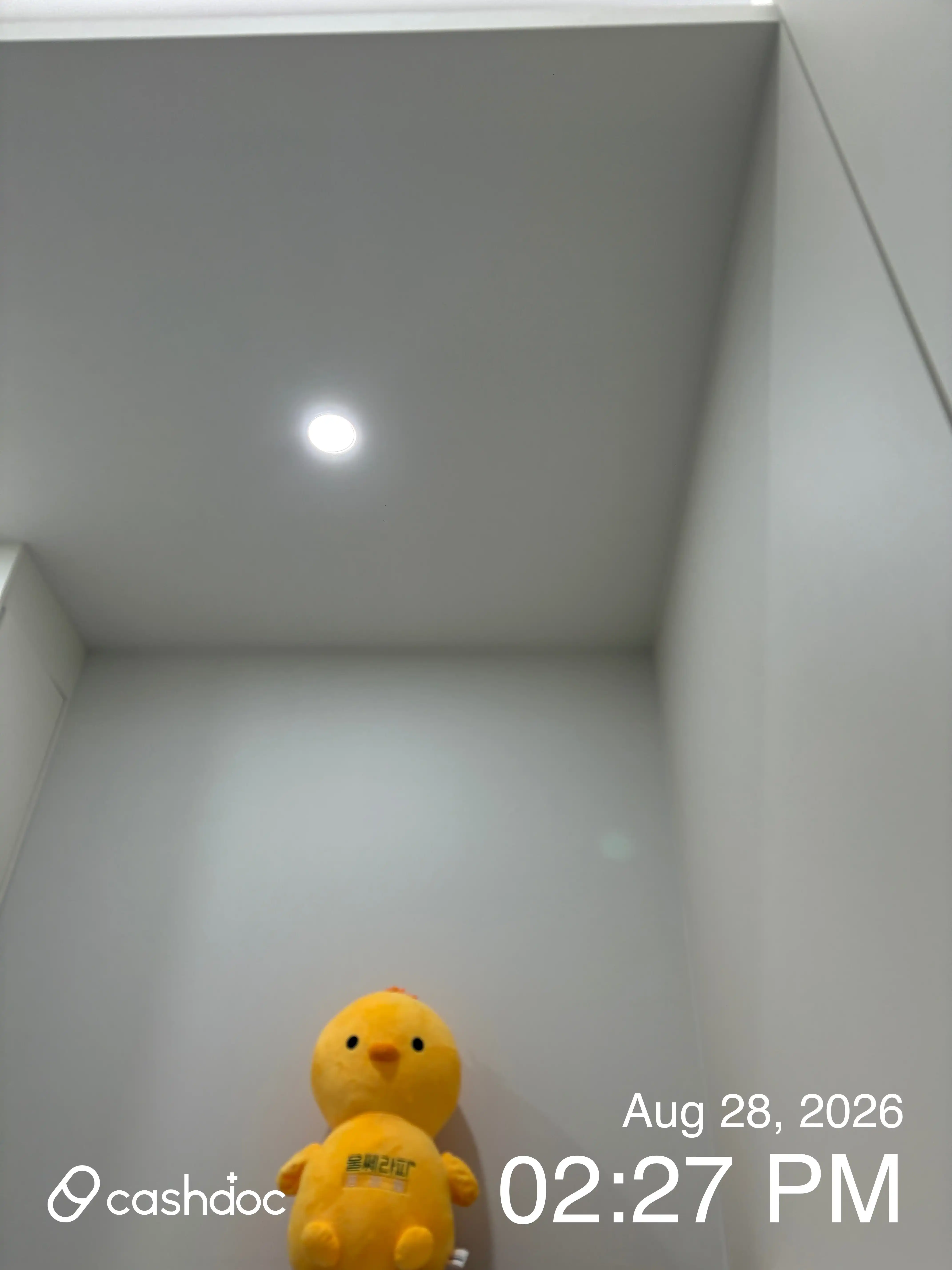 レビュー写真