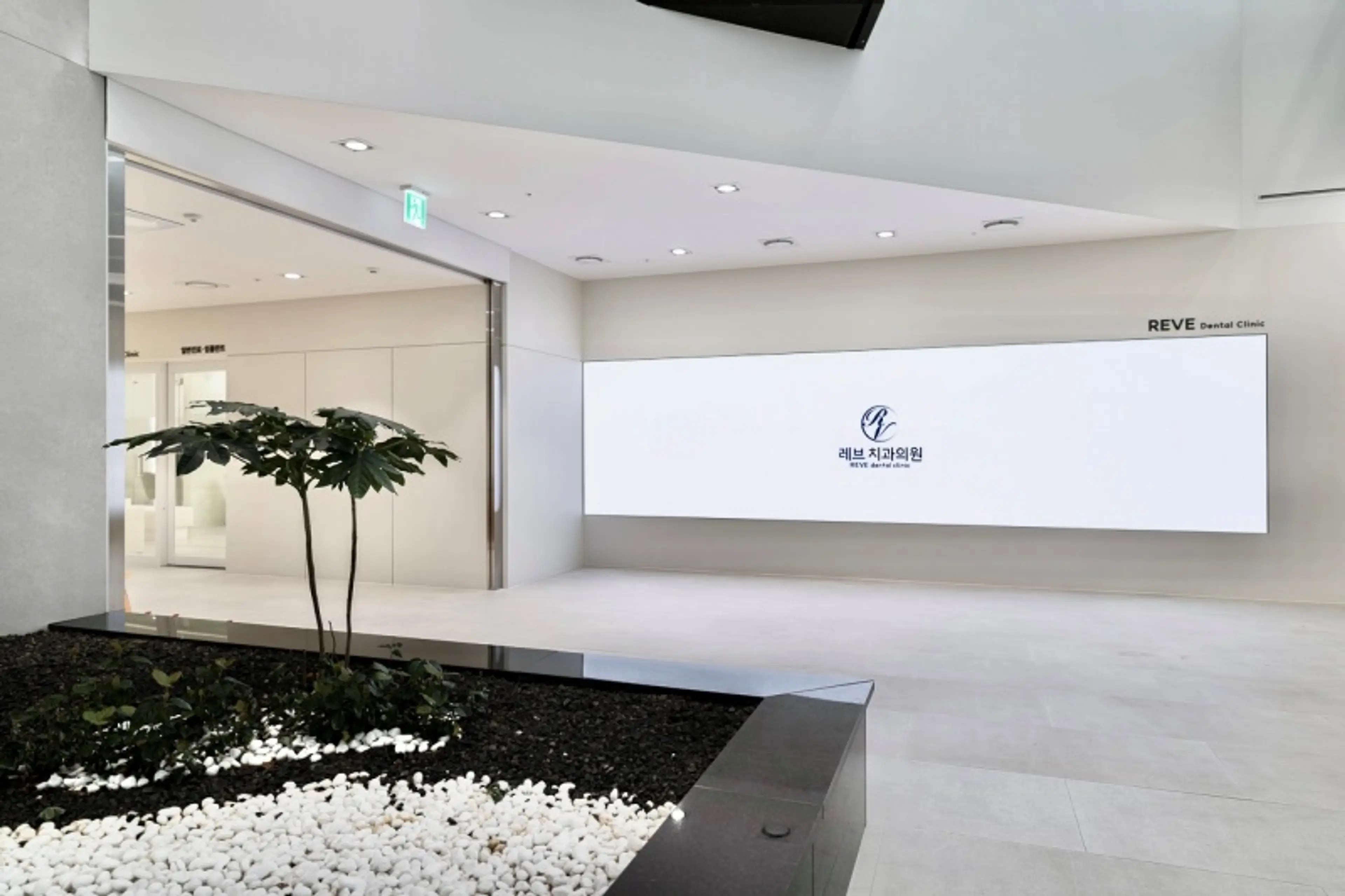 레브치과 - 6