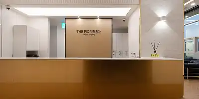 The Fix Plastic Surgery 병원 정보 이미지