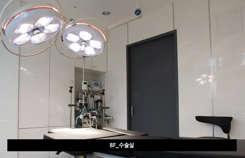 티오피성형외과 병원 정보 이미지