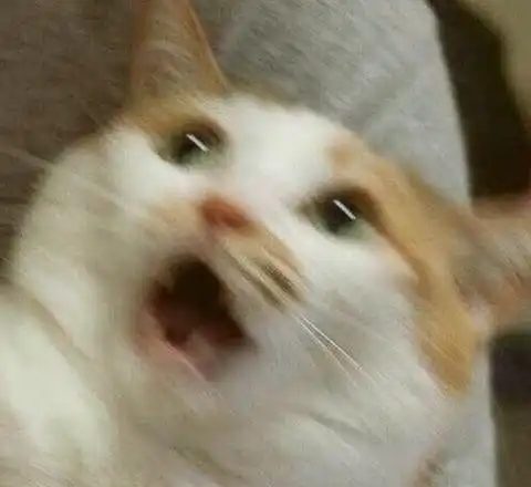 리뷰 사진 1