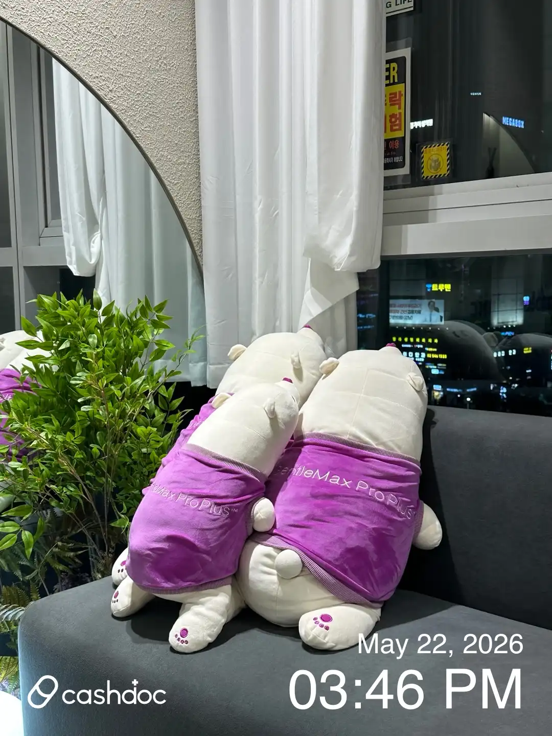 리뷰 사진