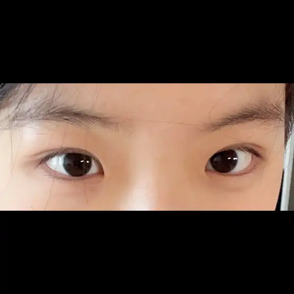 レビュー写真
