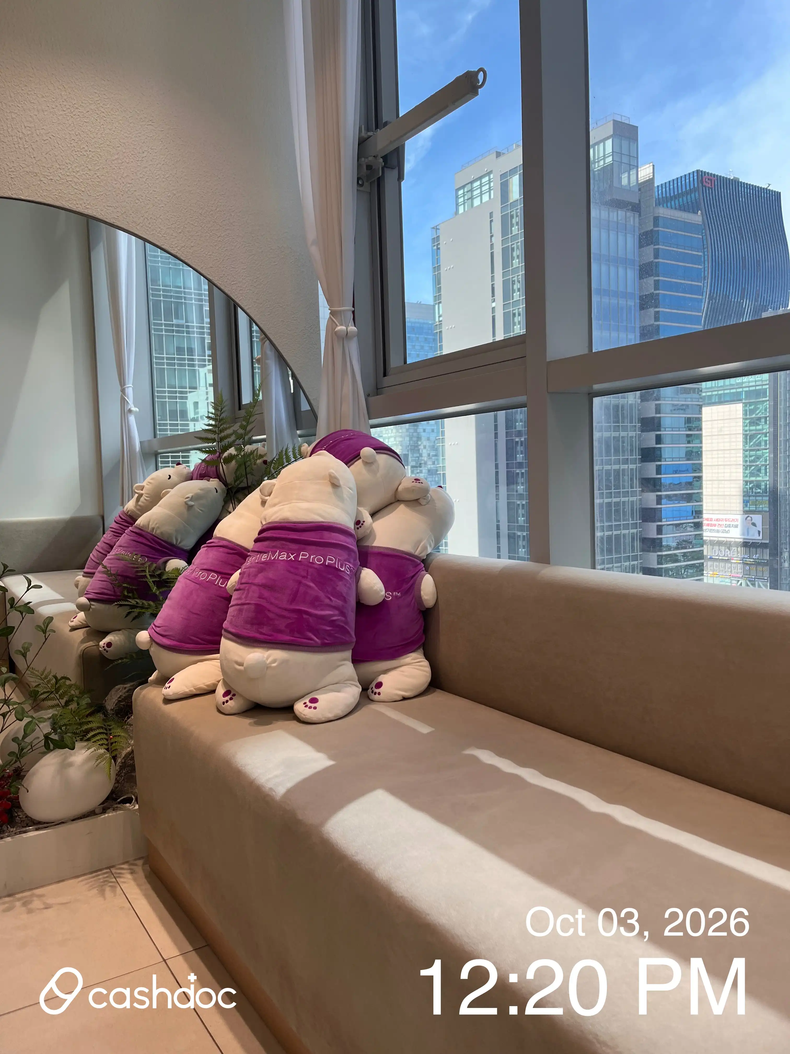 莫里斯医疗机构 255