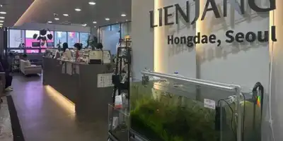 Lienjang Clinic Hongdae Branch 병원 정보 이미지
