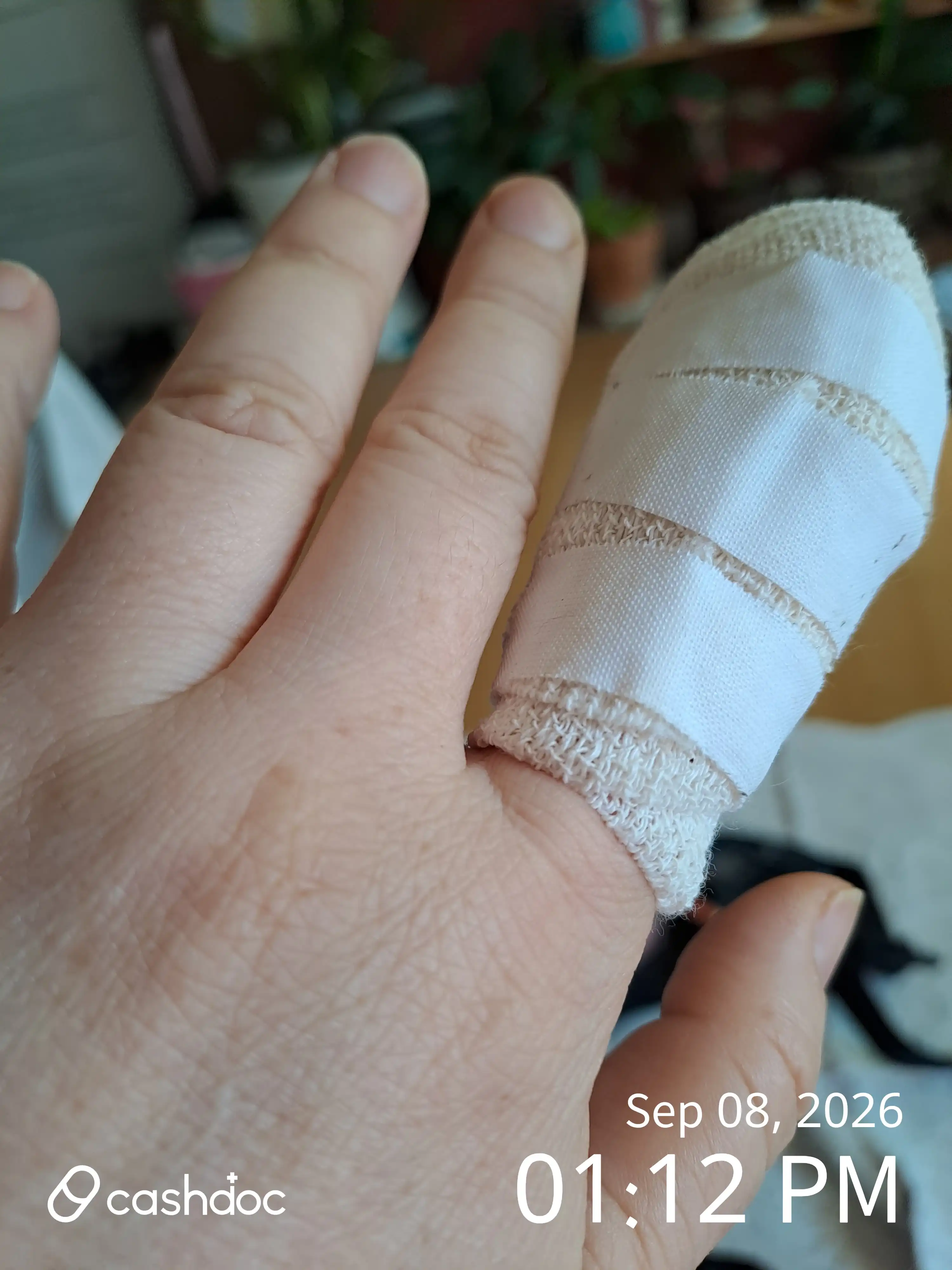 리뷰 사진