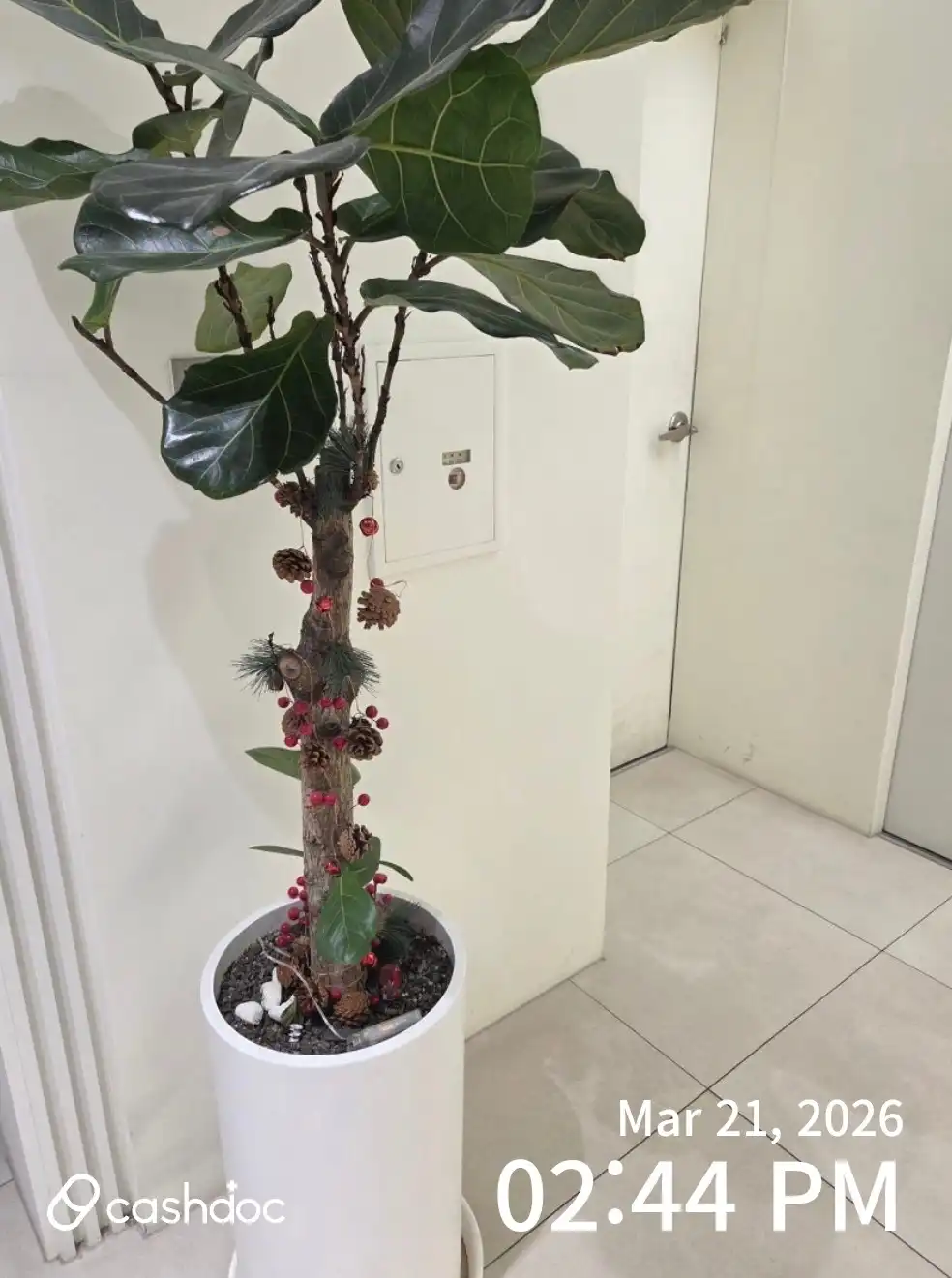 메이퓨어의원 수원영통점 69