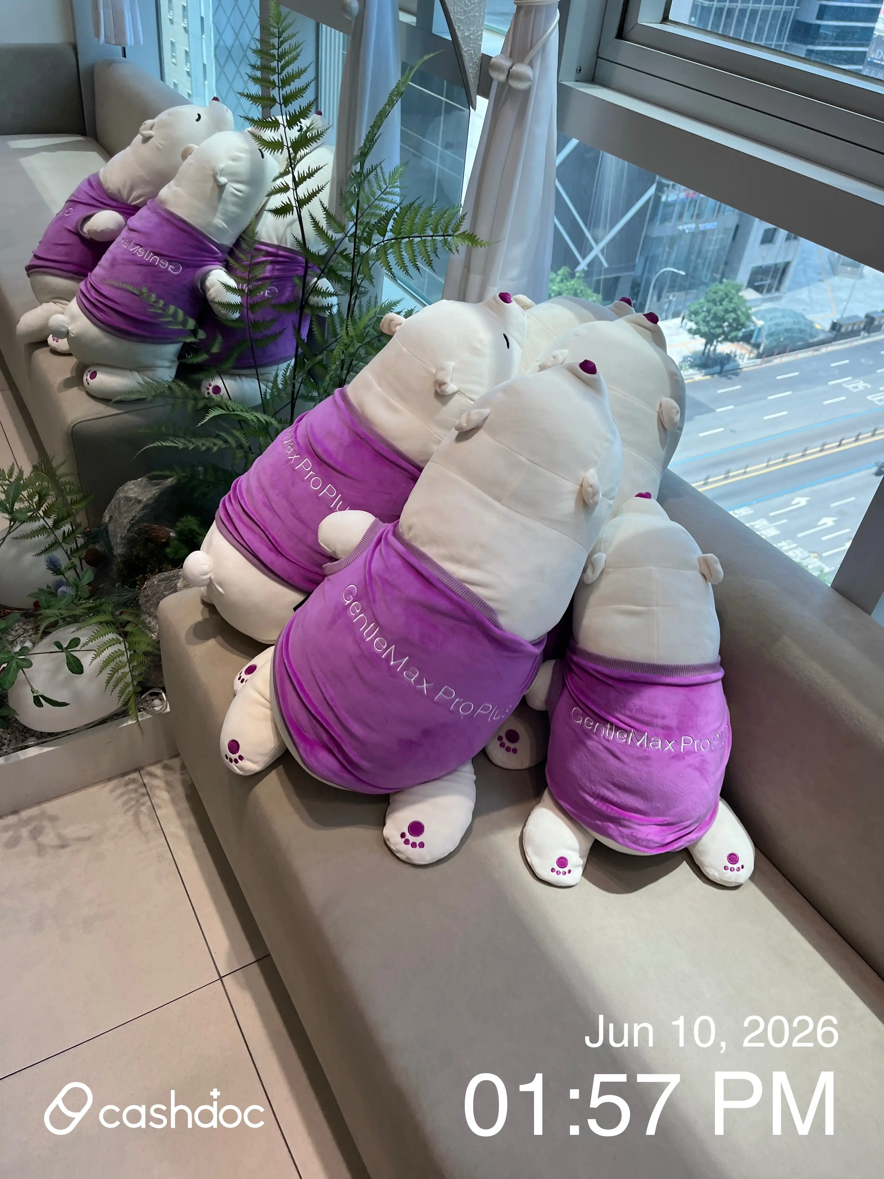 리뷰 사진 2