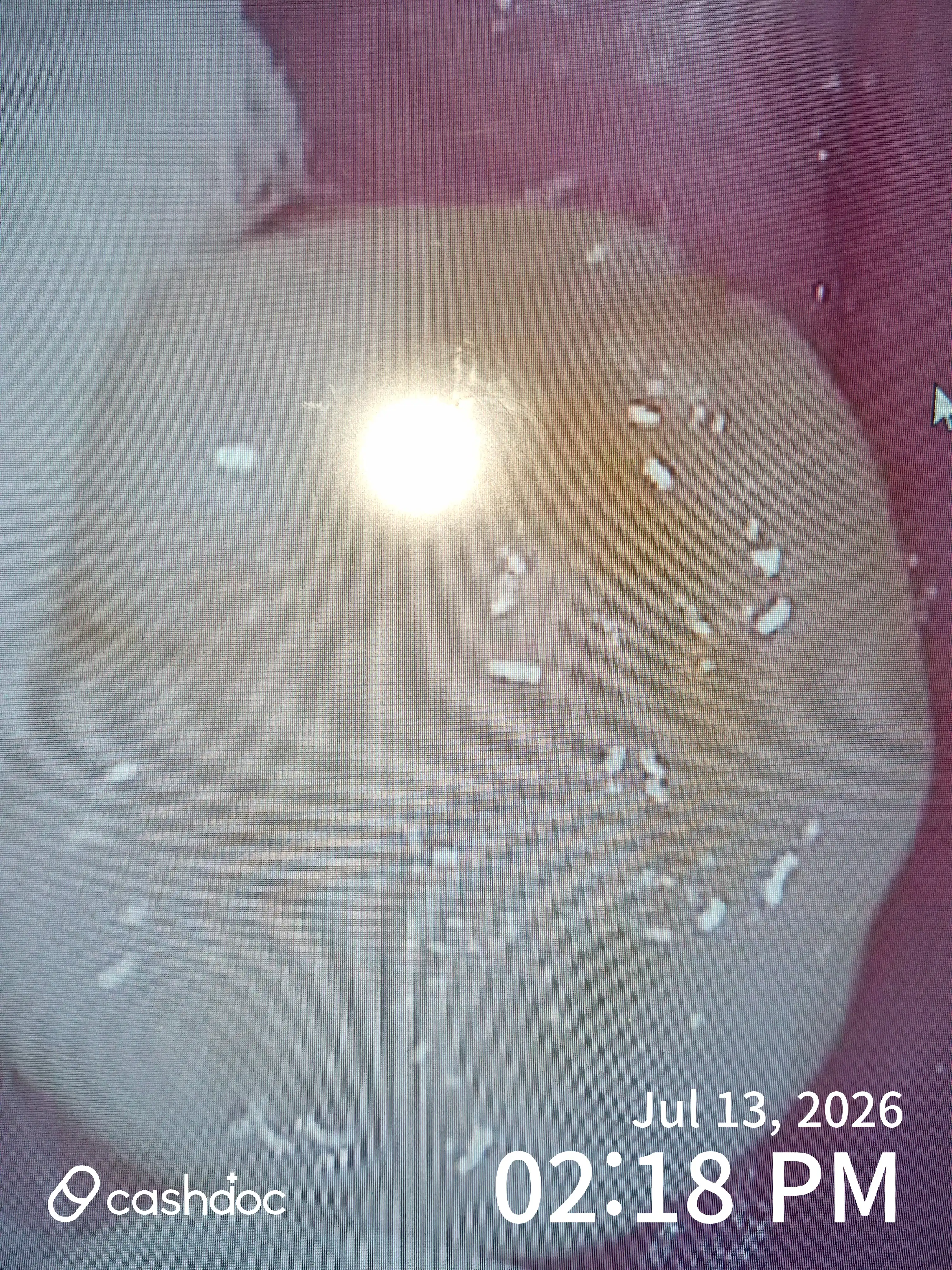 评价照片