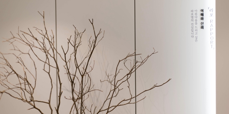 라포엘의원 병원 정보 이미지