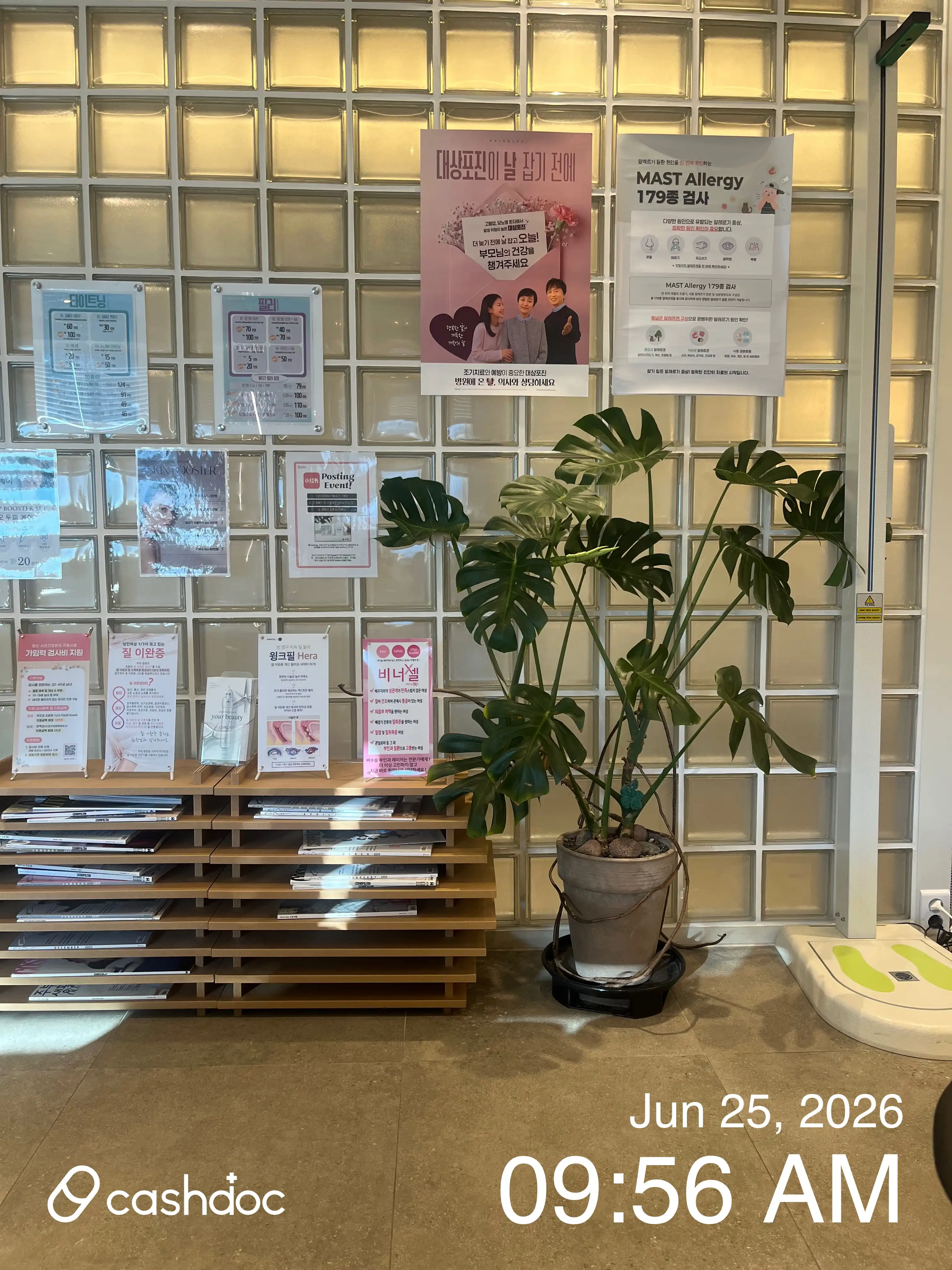 후기 사진