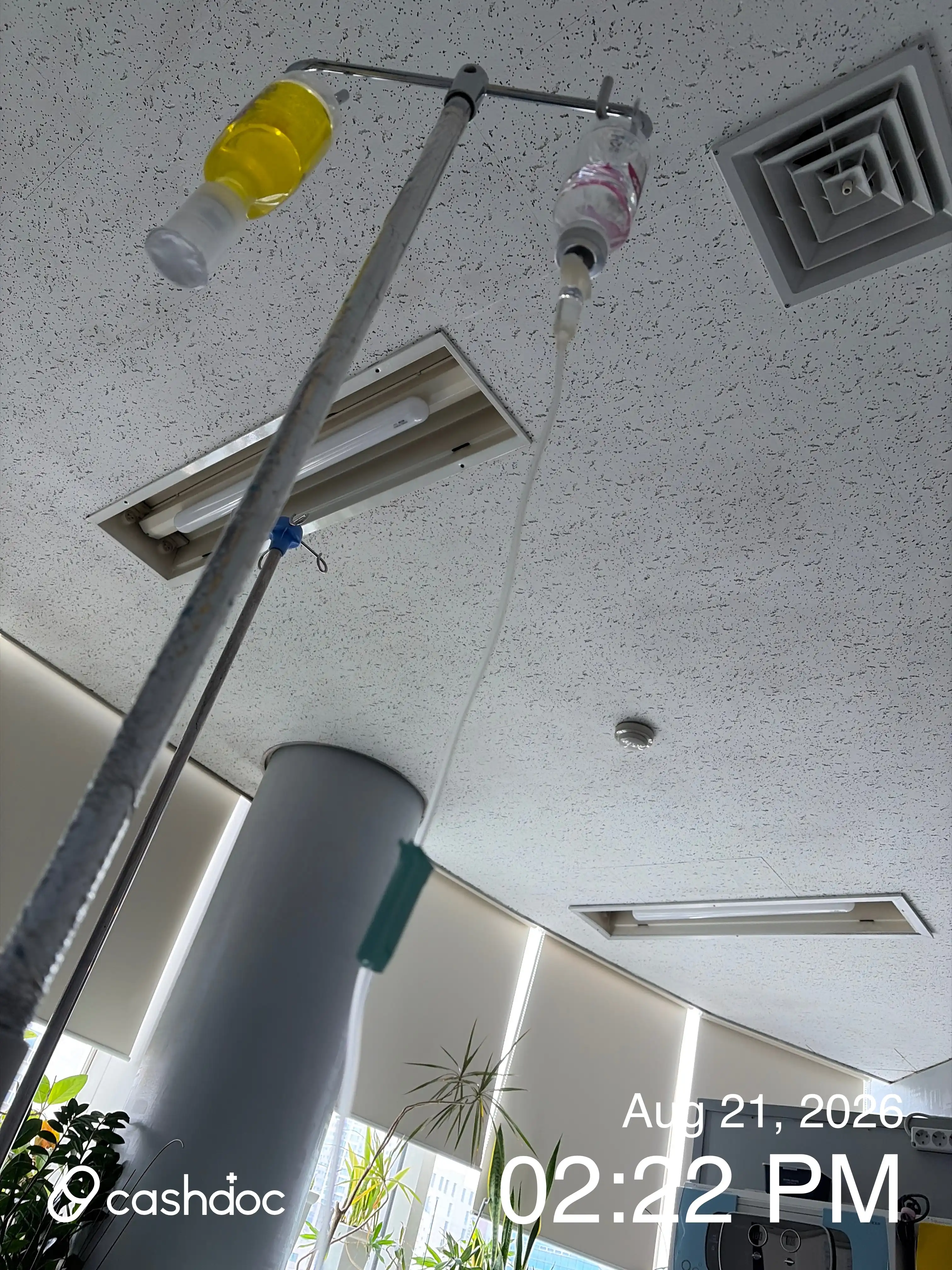 レビュー写真