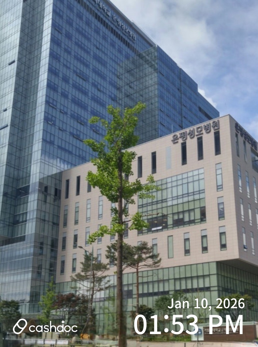 도봉구 가톨릭성모의원, 이정훈 의사 진료는 무난해요