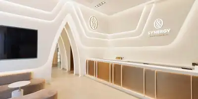 Synergy Plastic Surgery Clinic 병원 정보 이미지