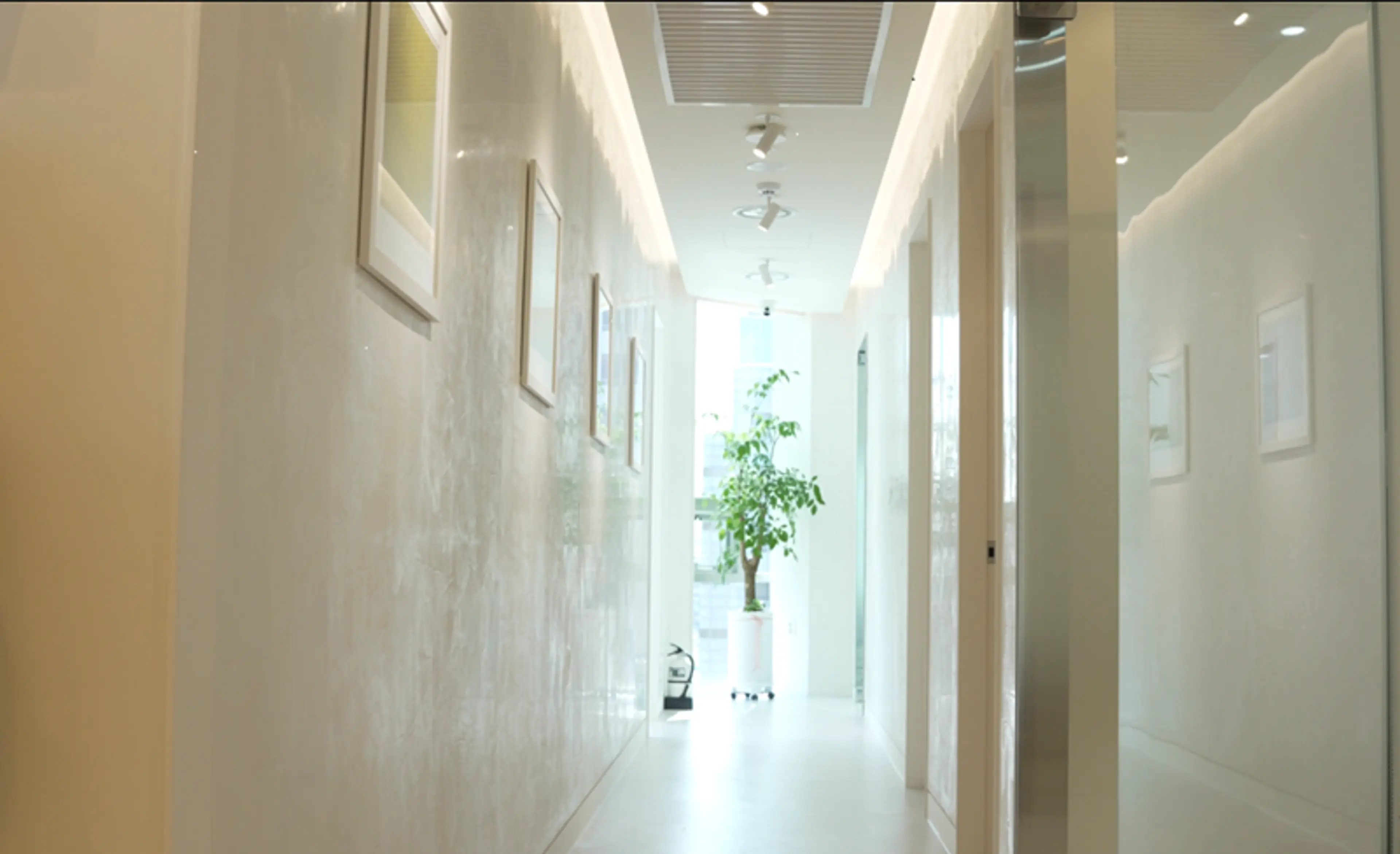 모멘텀헤어라인의원 - 3