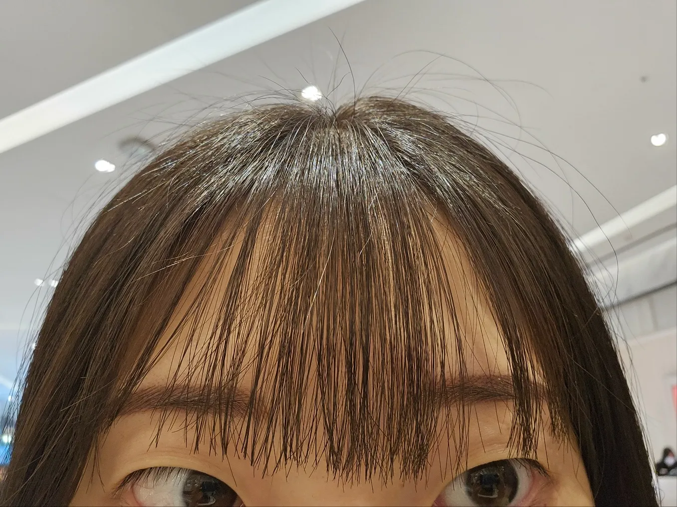 レビュー写真