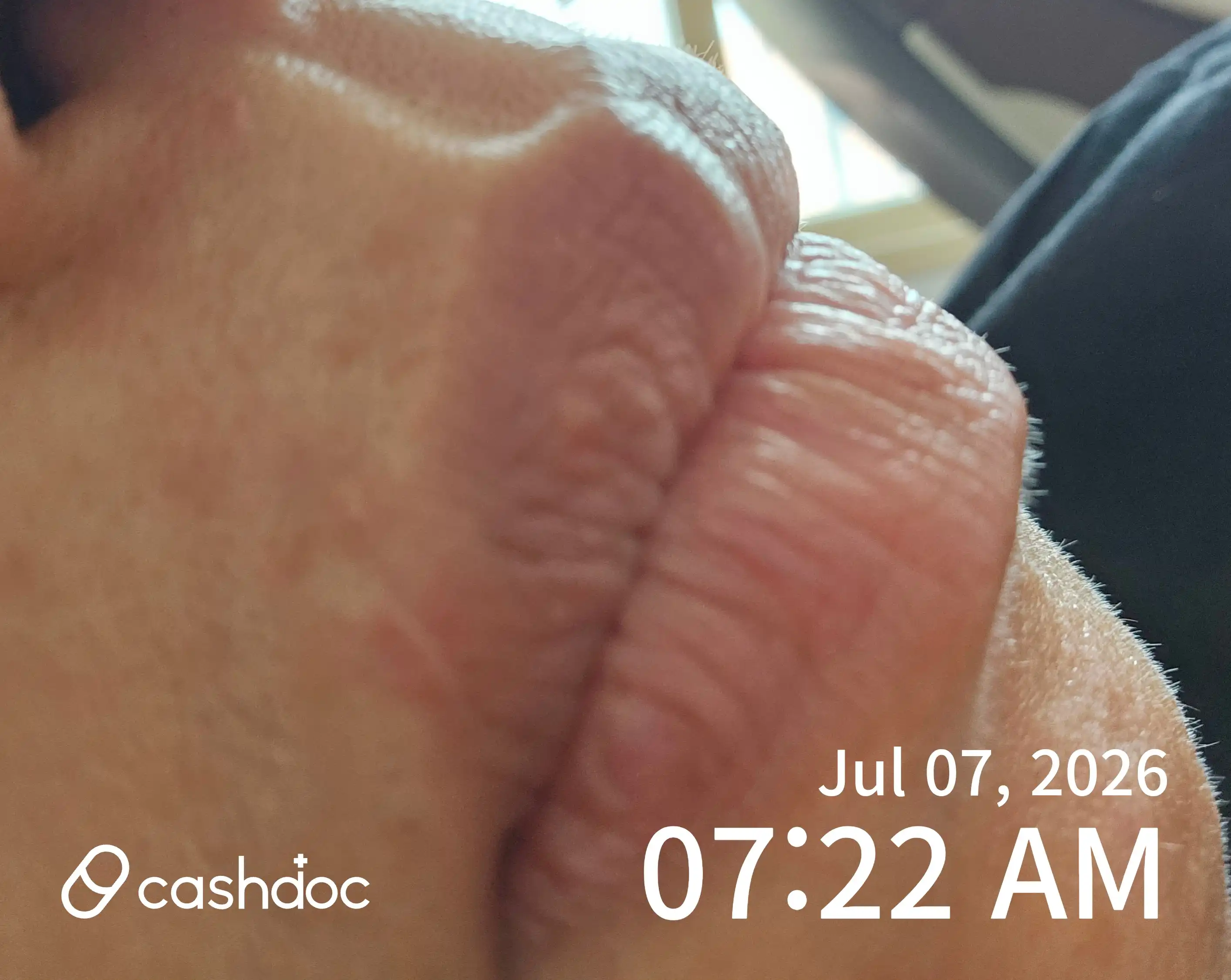 レビュー写真