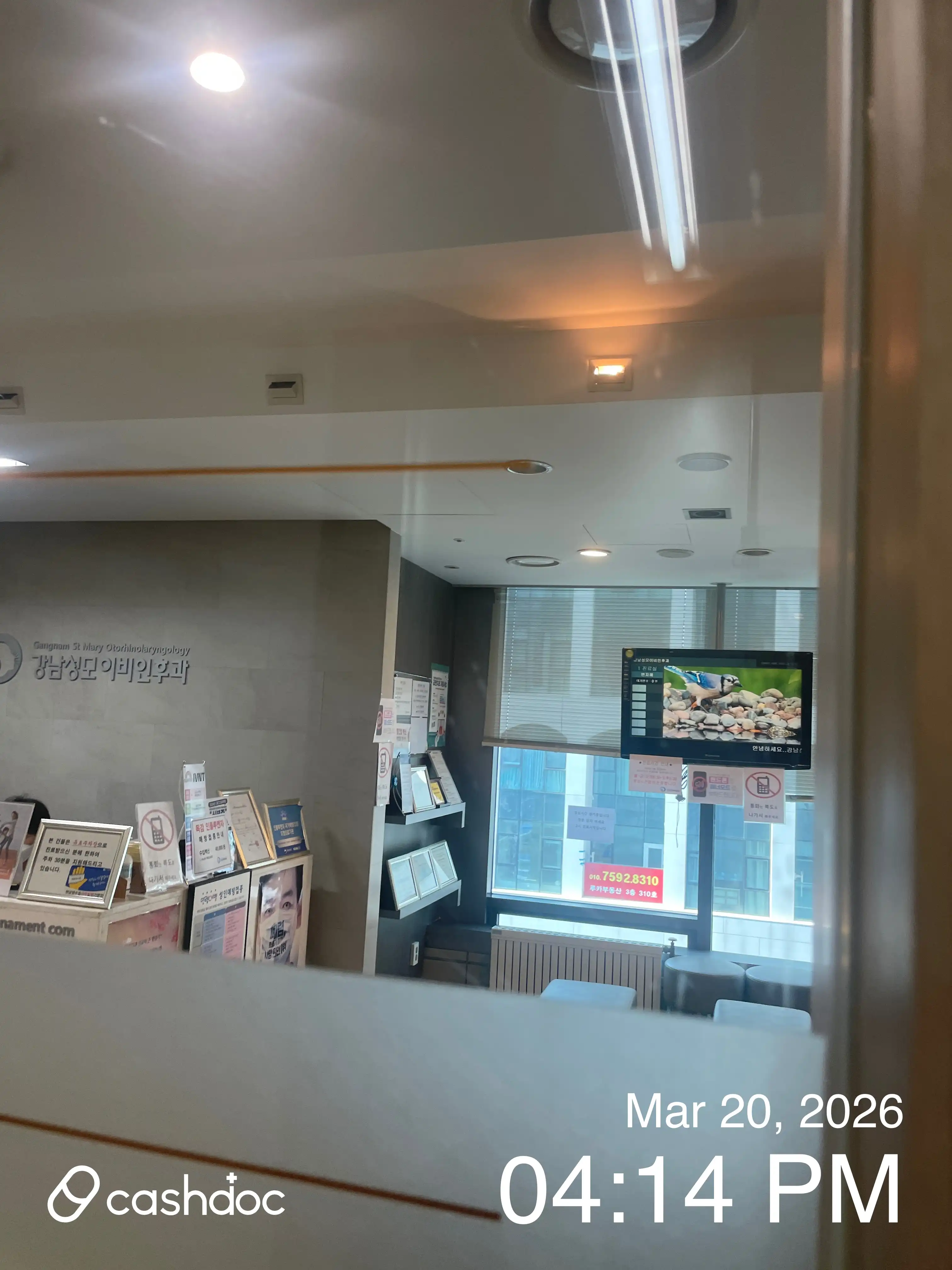 江南聖母耳鼻咽喉科医院 2