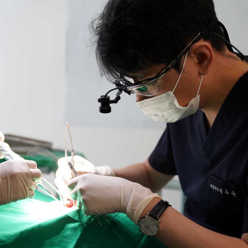 White Dream Dental Clinic 병원 정보 이미지