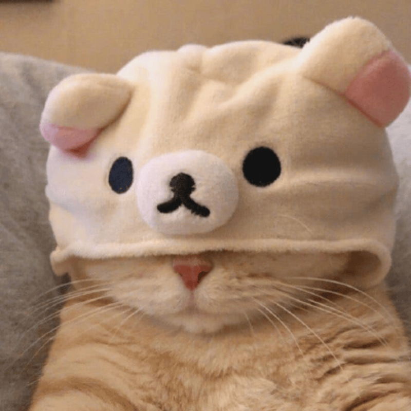 의사정보 이미지