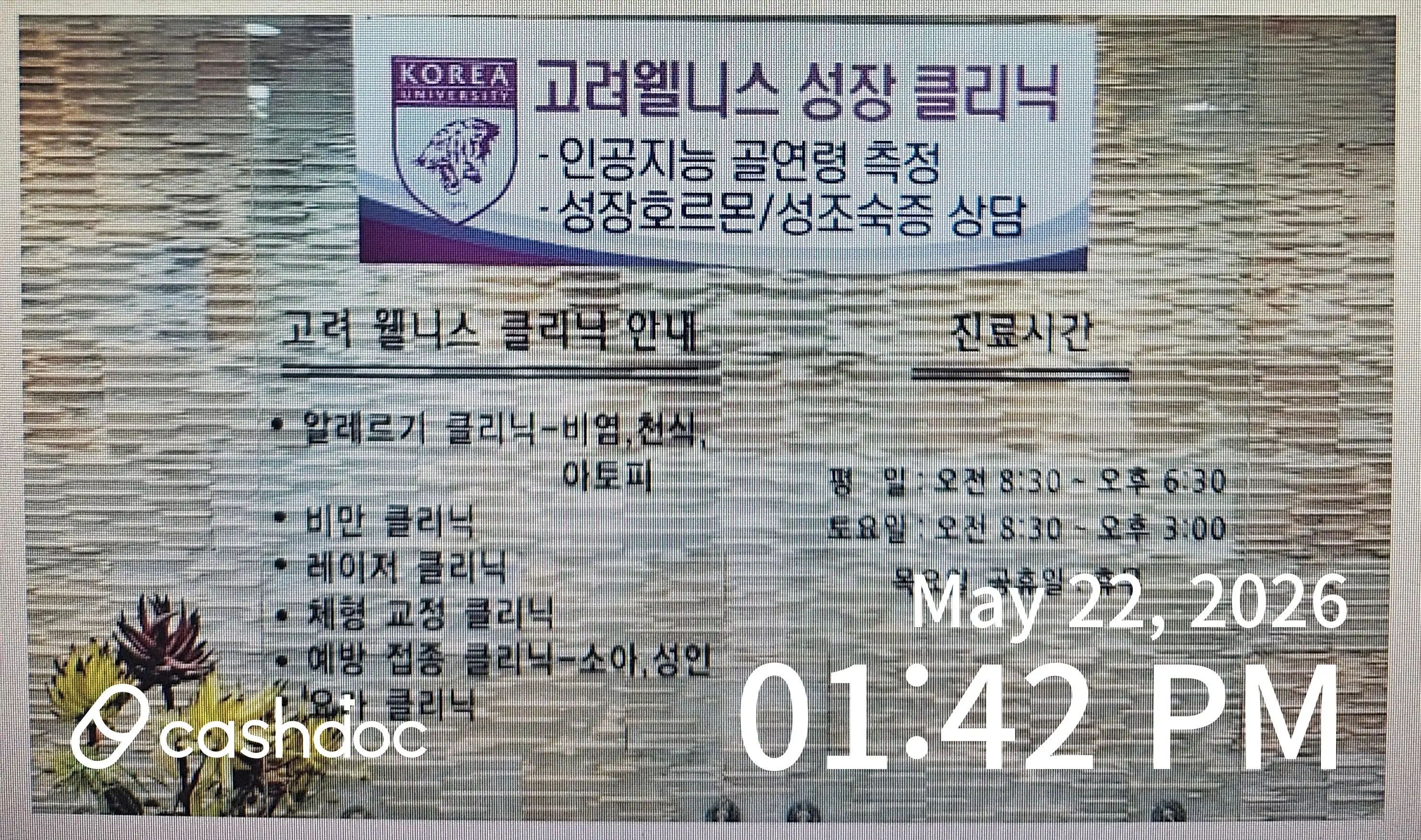 리뷰 사진