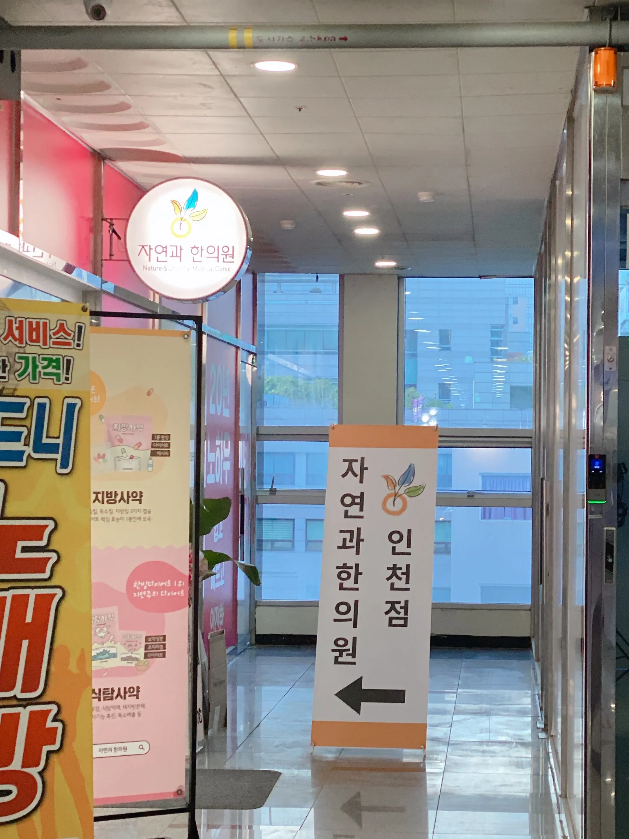 시술 전 — 인천)자연과한의원 지방사약 처방