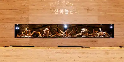 부산하늘안과 병원 정보 이미지