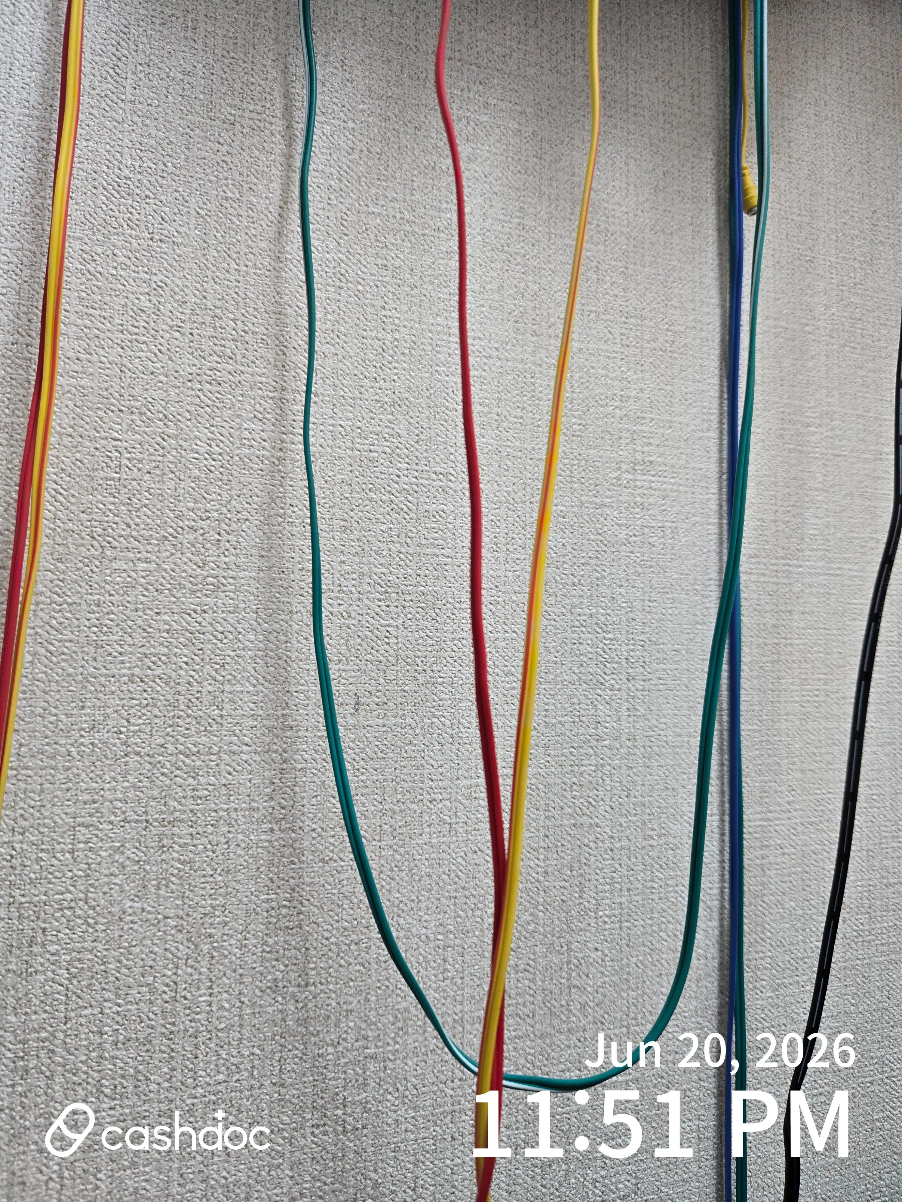 レビュー写真