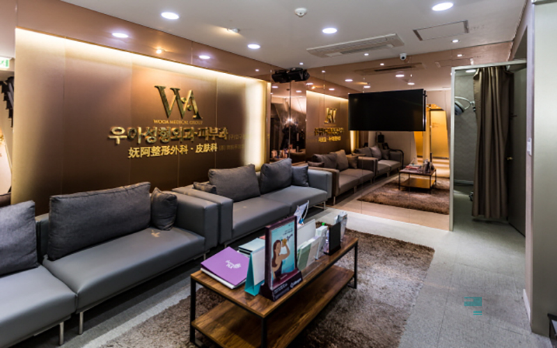Elegant Plastic Surgery Clinic 병원 정보 이미지