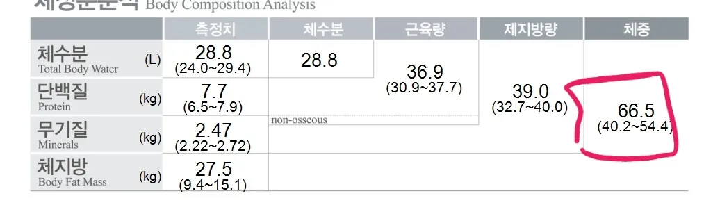 시술 전 — 자연과한의원 다이어트 지방사약 처방
