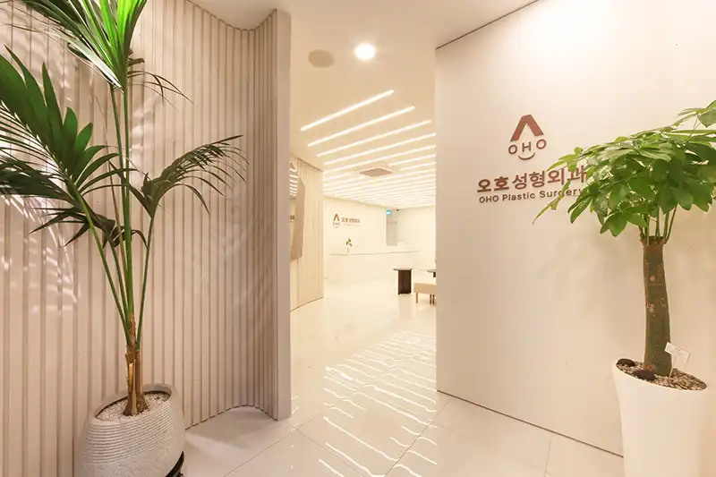 오호성형외과의원 병원 정보 이미지