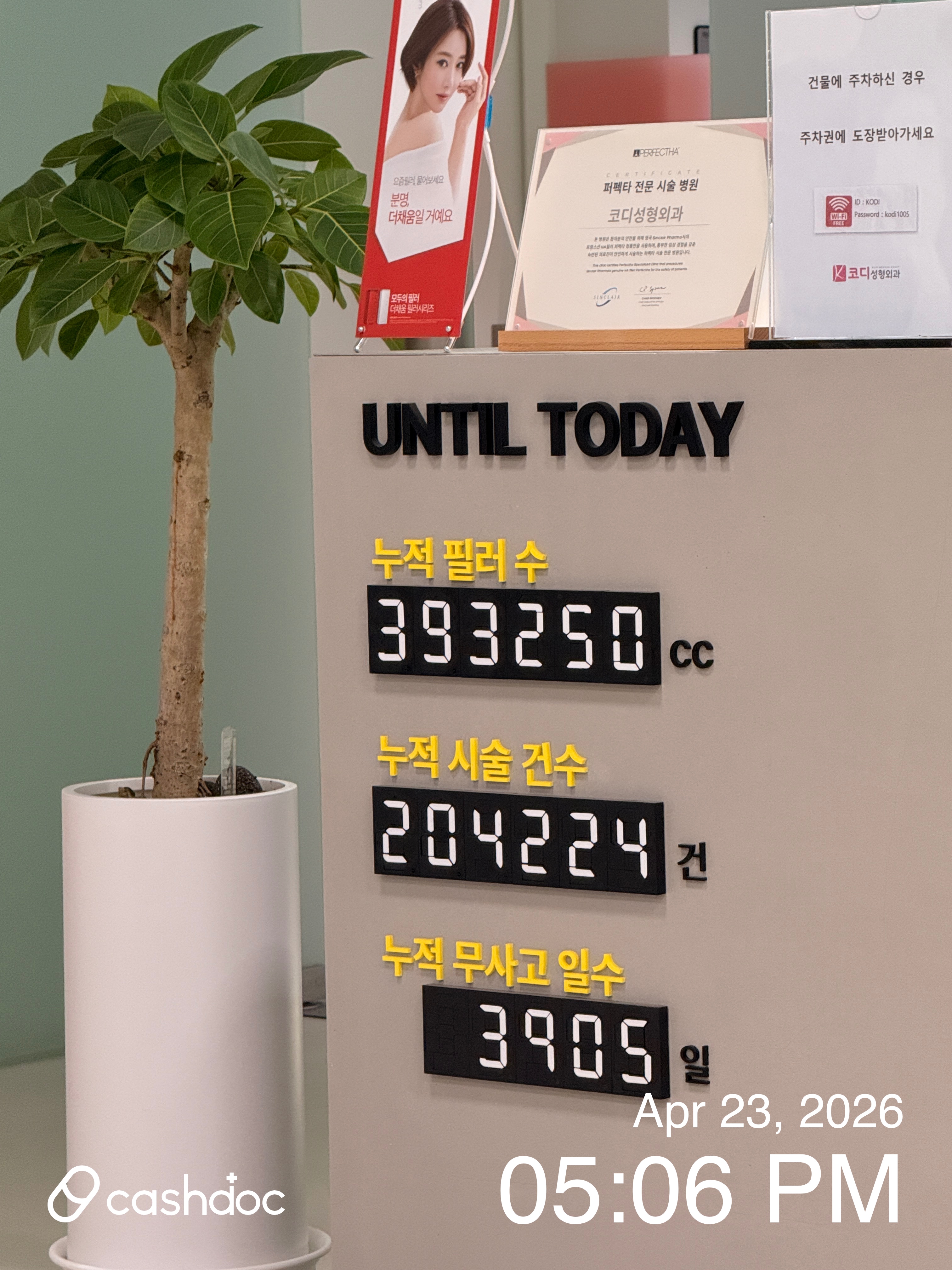 코디성형외과 병원 정보 이미지