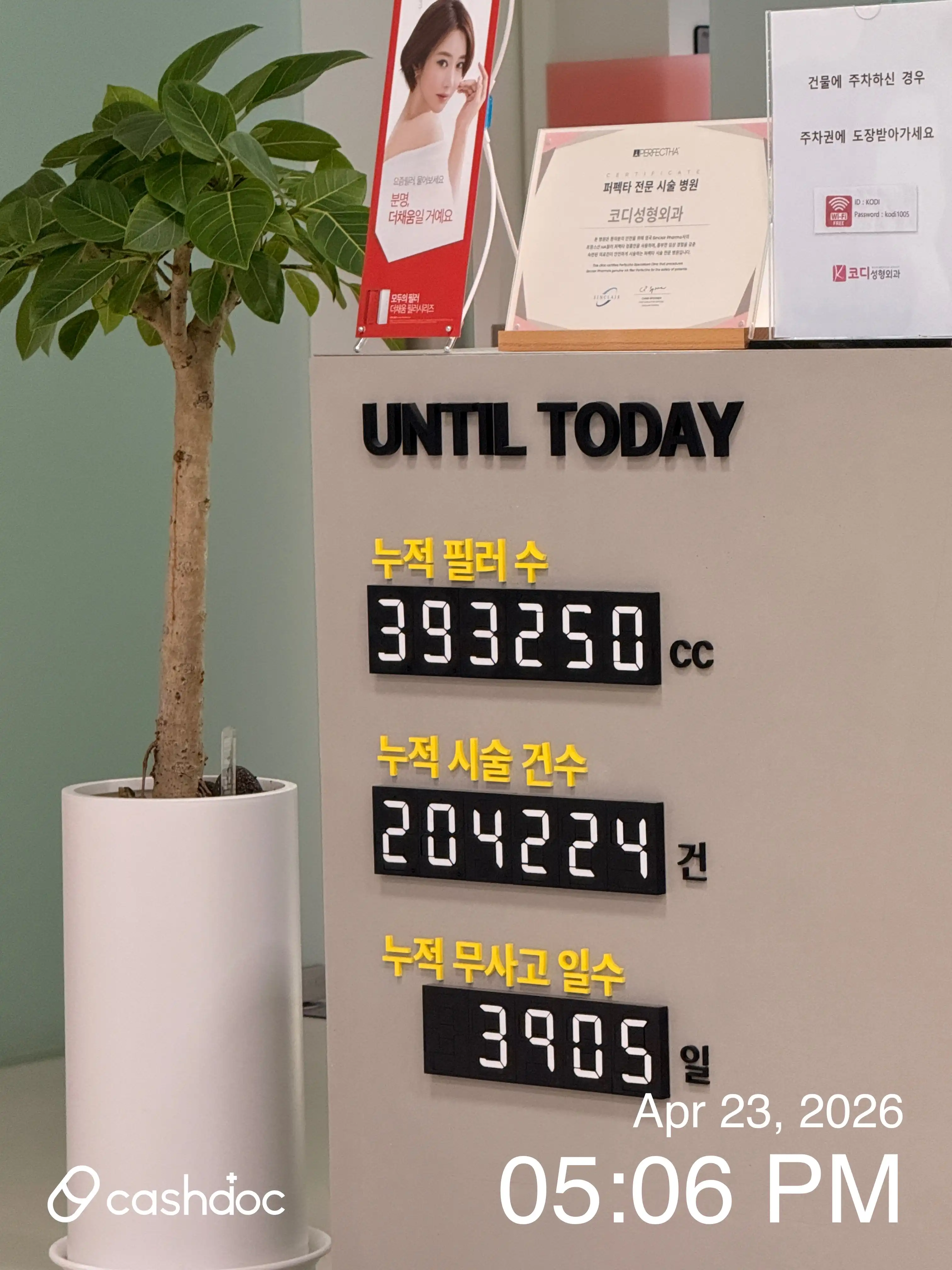 코디성형외과의원 5