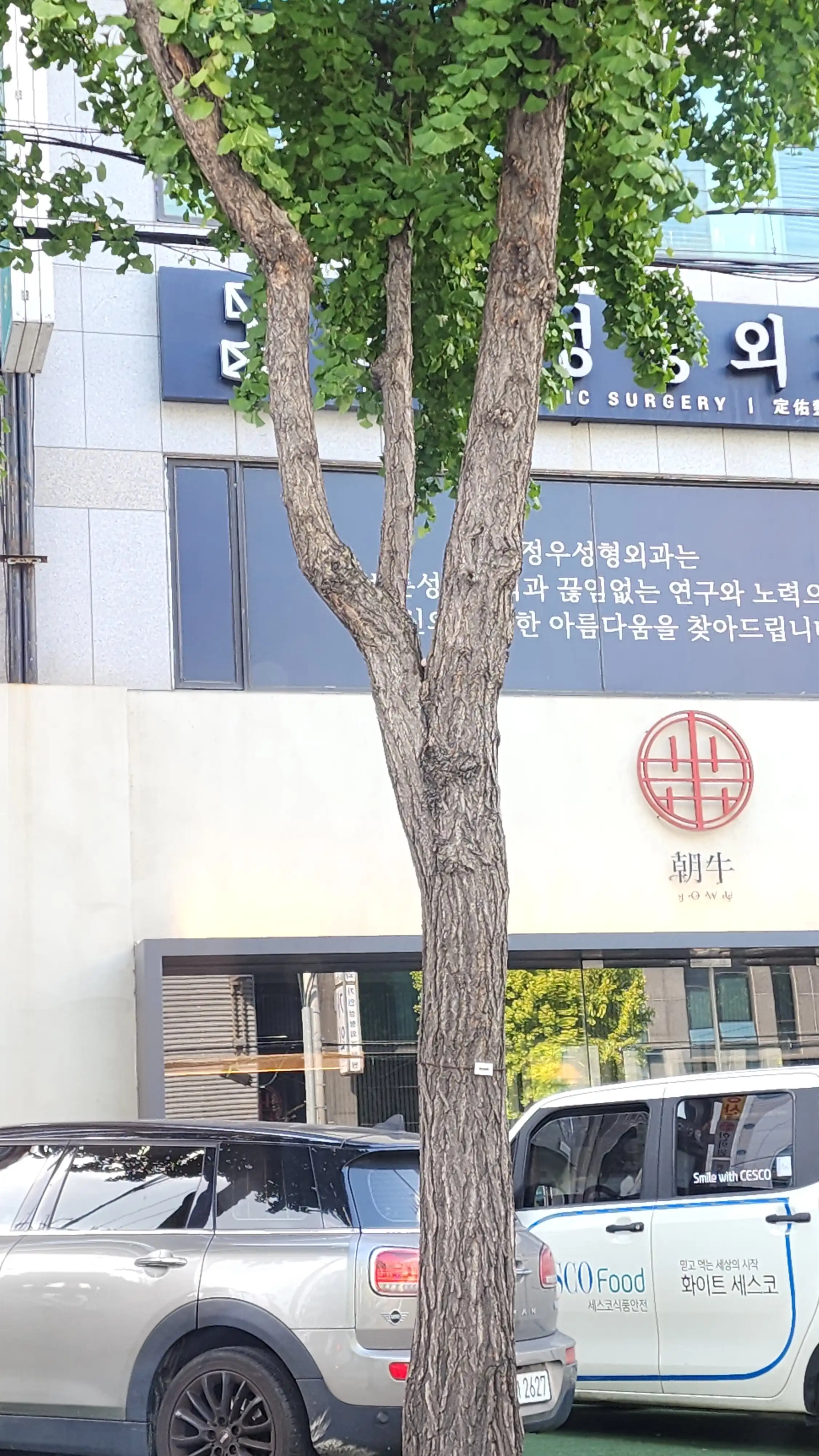 리뷰 사진