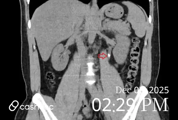 리뷰 사진 1