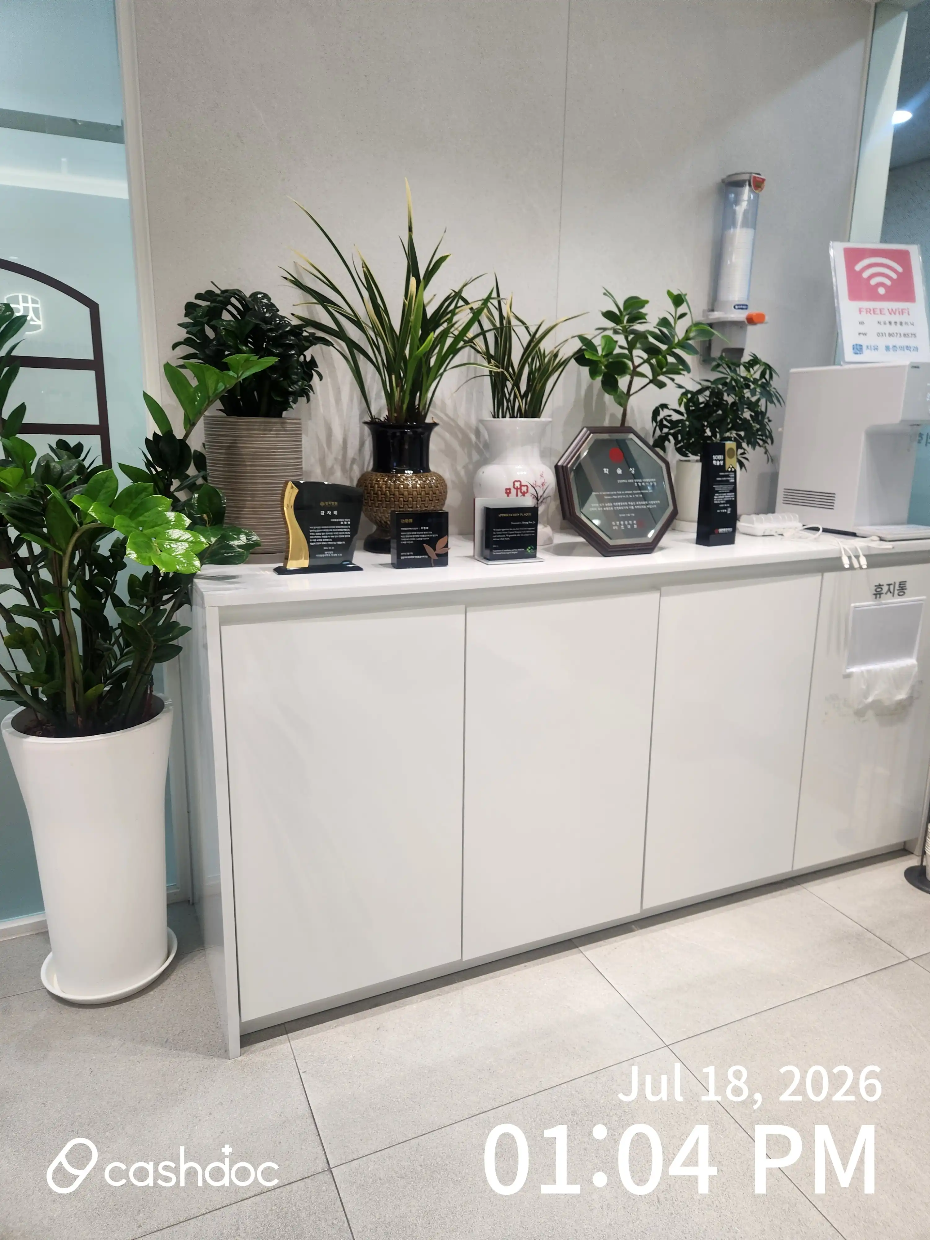 治癒麻酔痛症医学科医院 13