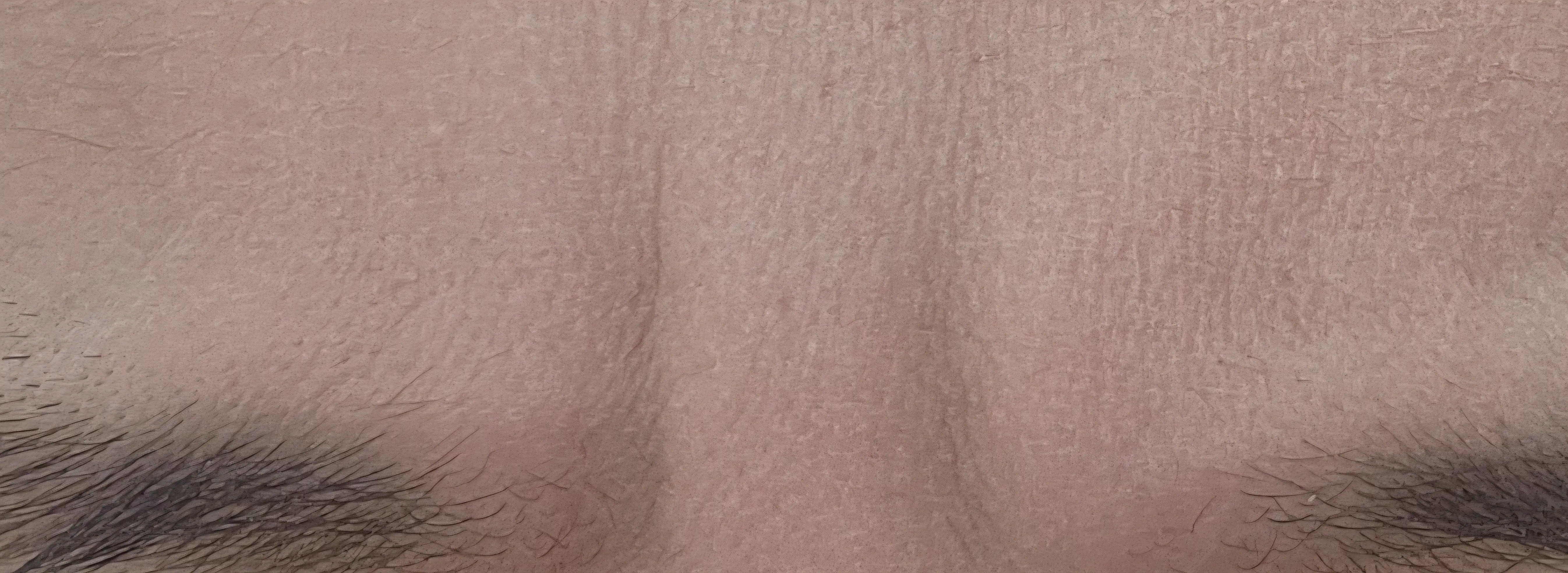 评价照片