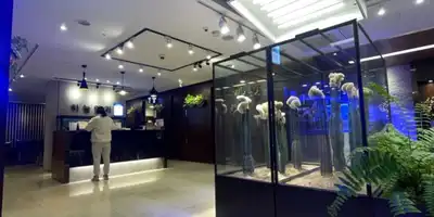 Sky Eye Clinic 병원 정보 이미지