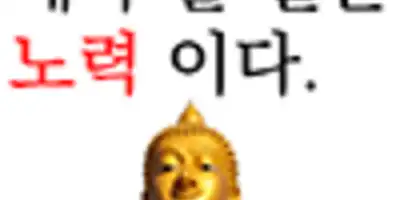 Cashduck Hospital 병원 정보 이미지